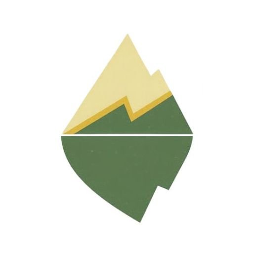 Vie, Carrière et Résilience